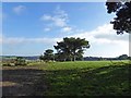 Bridleway to Bretton Hall