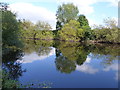 Across the Severn