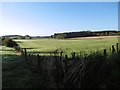 Field off Dumfries Road