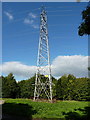 Pylon and power line at Monkmoor