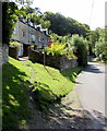 Track to Fairview Terrace, Walls Quarry, Brimscombe