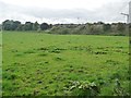 Pasture for Abbott Lodge Farm