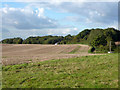 View towards Shepherds Hill