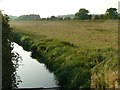 Carburton Water Meadows