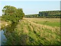 Carburton Water Meadows