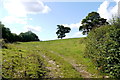 Steep Pastureland at Trimshayes Farm