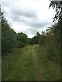 Bateswood SWT Reserve: track round perimeter of plateau