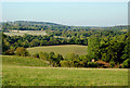 Pasture and woodland near Fairfield, Worcestershire