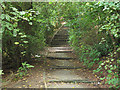 Steps up to Armley Park Road