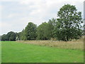 The former course of the New River in Arnos Park