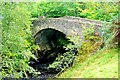 Old Struan bridge