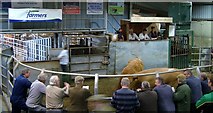 SO5172 : Ludlow Livestock Market by Peter Evans