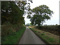 Lane towards Ratten Row