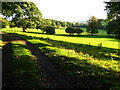 Footpath, field and trees beside Bryn-cae-Tudur Wood