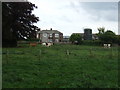 Grazing, Carleton Hill Farm