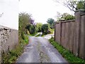 SN1111 : Lane by side of Chapel, Chapel Lane, Templeton by welshbabe