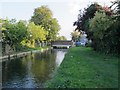 The New River north of Barrowell Green, N21 (2)