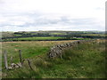 Fields on Ridley Common