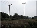 SZ5991 : Overhead wires near Swanmore by Jaggery