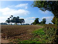 Site of a moated building