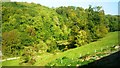 Trackway and canal in the Golden Valley