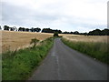 The lane to Findo Gask