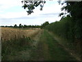 Farm track off The Hill, Blunham