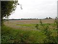 Fields near West Malling