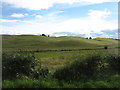 Farmland above Cowgask Burn