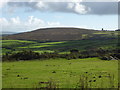 Pasture at Higher Bussow farm