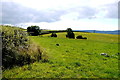 View towards Tolcis Cross