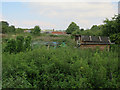 Allotments by Hollands Road