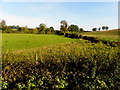 Mullyroddan Townland