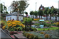 Beautiful Garden at Dumfries Station