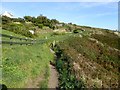 SW7012 : South West Coast Path at Housel Bay by David Smith