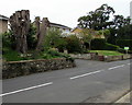 Pollarded trees, Ashey Road, Ryde