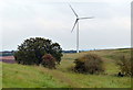 SK1606 : Wind turbine north of Hopwas Hays Wood by Mat Fascione