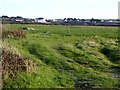 Grassland and concrete blocks, Angrouse Cliff