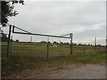 TL3711 : Entrance to field in St Margarets by David Howard