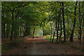 Beech avenue, Hawley Common