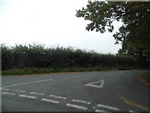 TL3407 : Pembridge Lane at the junction of Cock Lane by David Howard