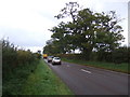 A134 towards Thetford 