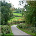 Lane near Great House