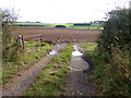 Muddy gateway and field near Harelaw