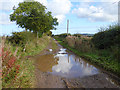 Western end of green lane to Blackburn Farm