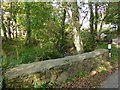 Woodland stream north of Cury