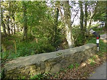 SW6721 : Woodland stream north of Cury by David Smith