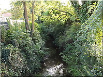 TM2363 : River off the A1120 The Street by Geographer