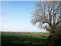 Field near Dunnaquarry