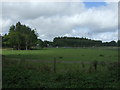 Grazing off National Cycle Route 51